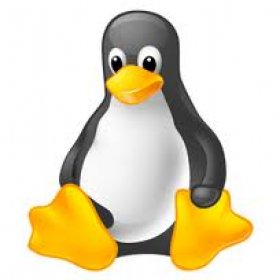 Linux Hosting Plans